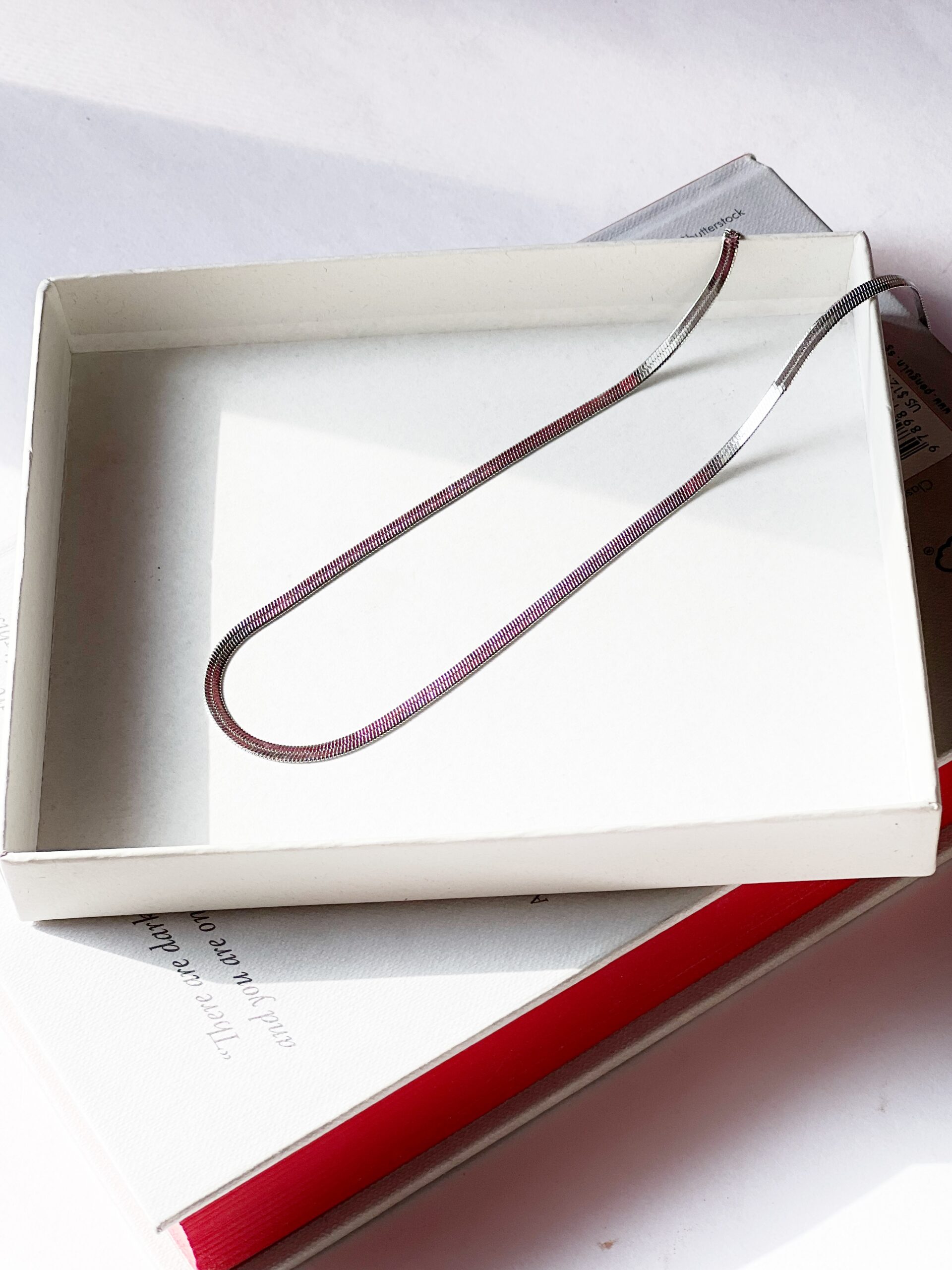 Snake Chain (Silver)